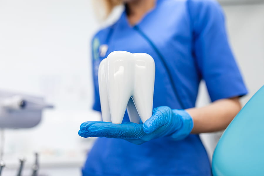 Dentistas del SERGAS en Galicia